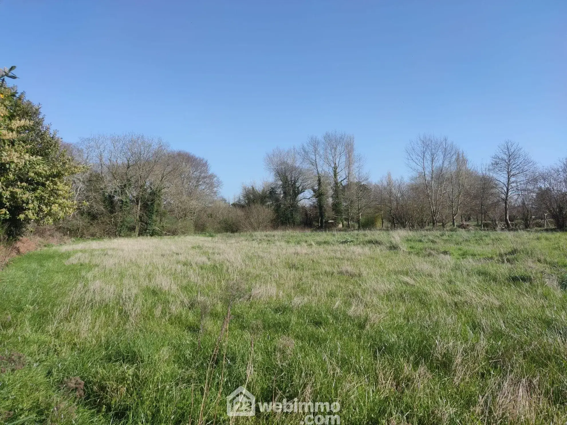 Terrain constructible de 3572 m² à Tredrez-Locquemeau, proximité mer 