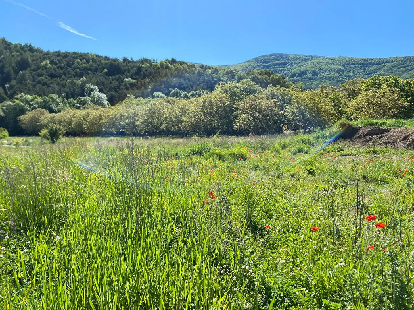 Terrain constructible de 707 m² à proximité de Gap, calme et orienté sud-ouest 