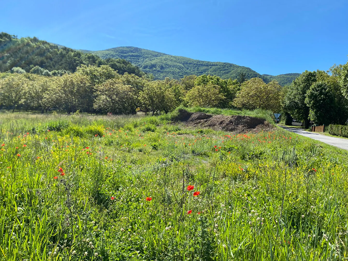 Terrain constructible de 707 m² à proximité de Gap, calme et orienté sud-ouest 