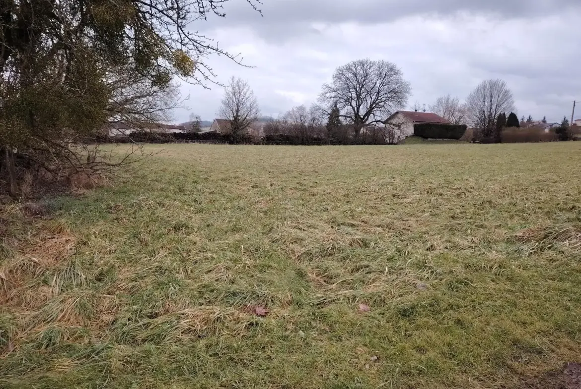 Terrain à vendre de 1200 m² près de Dompaire, certificat urbanisme OK 