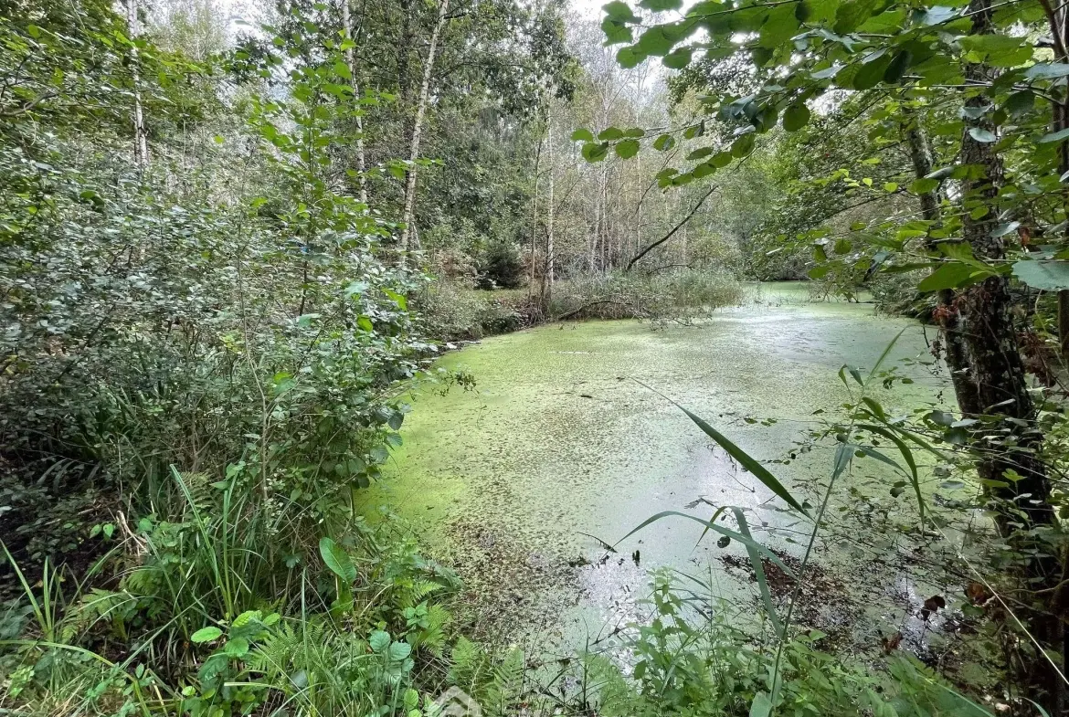 Magnifique terrain de loisirs de 6319 m² avec étang à Chaillevois 