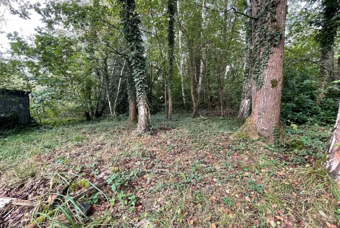 Magnifique terrain de loisirs de 6319 m² avec étang à Chaillevois 