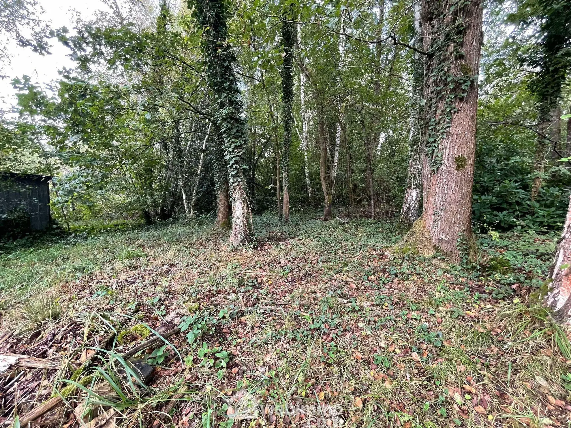 Magnifique terrain de loisirs de 6319 m² avec étang à Chaillevois 