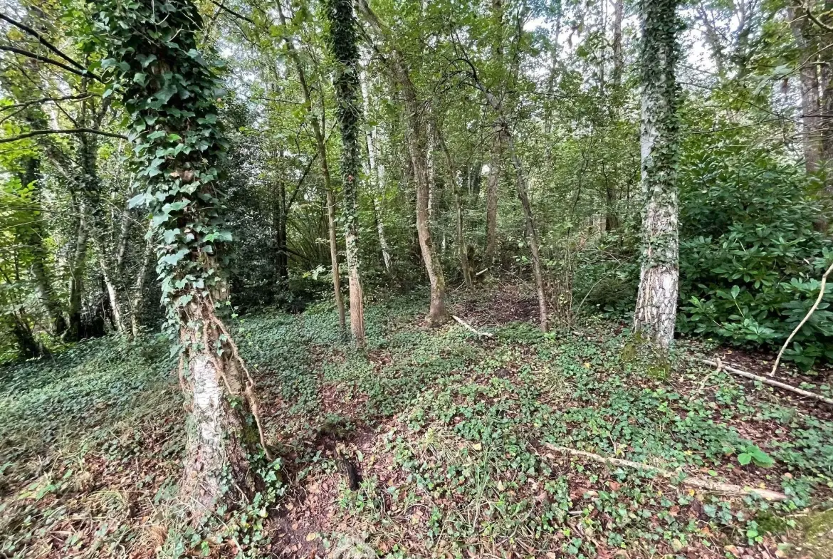 Magnifique terrain de loisirs de 6319 m² avec étang à Chaillevois 