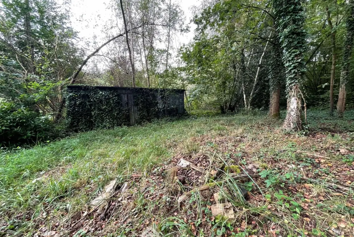 Magnifique terrain de loisirs de 6319 m² avec étang à Chaillevois 