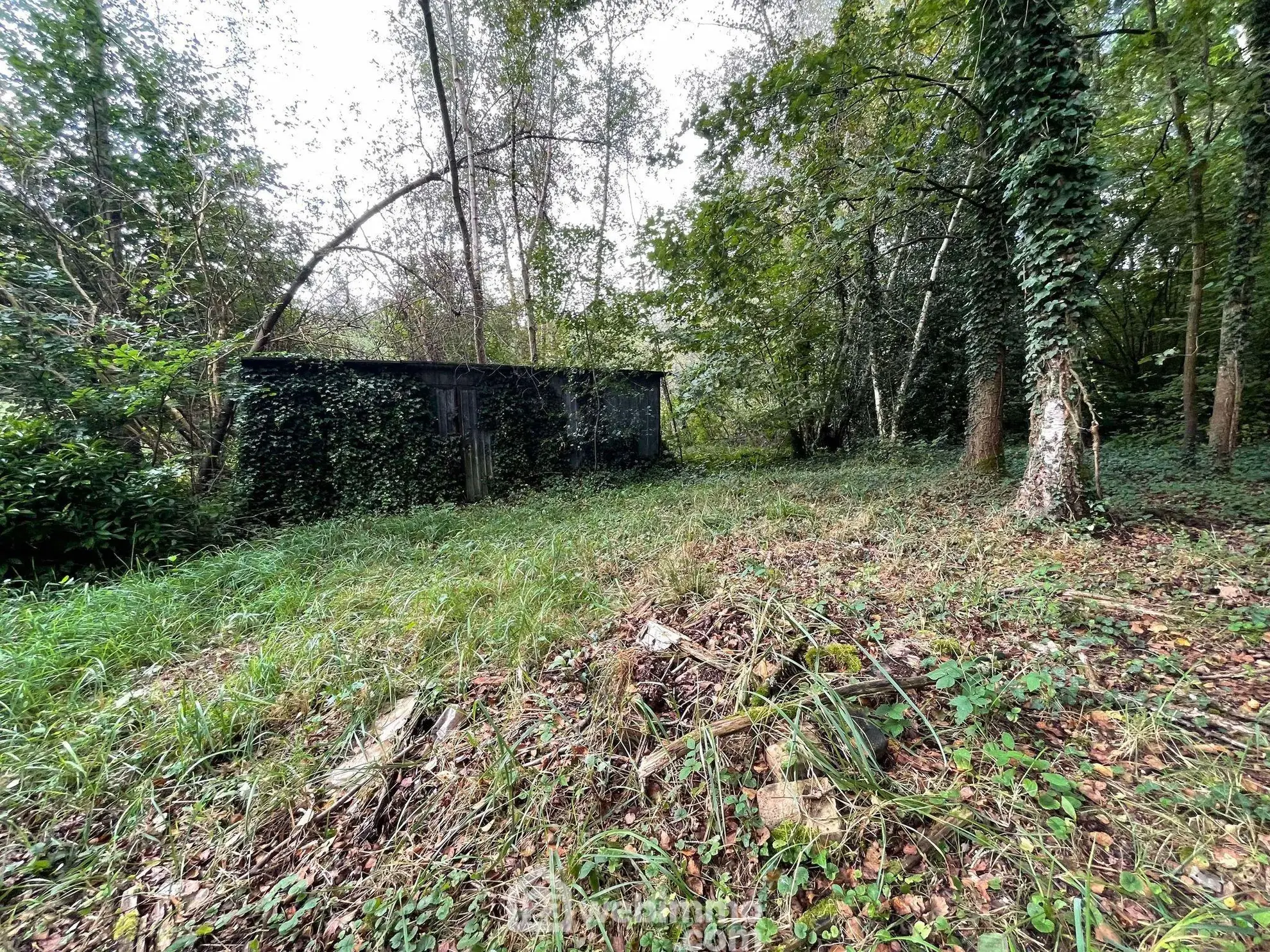 Magnifique terrain de loisirs de 6319 m² avec étang à Chaillevois 