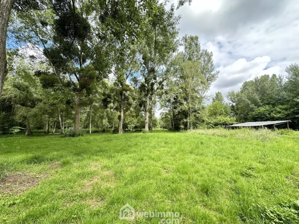 Terrain de loisir de 7000 m² avec étang à Presles-et-Thierny