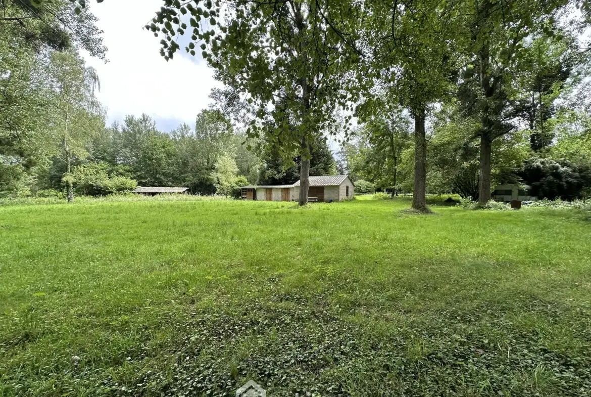 Terrain de loisir de 7000 m² avec étang à Presles-et-Thierny 