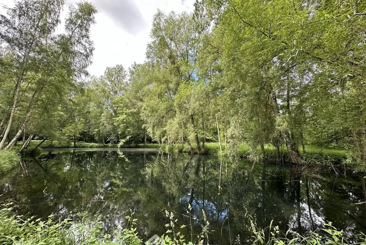 Terrain de loisir de 7000 m² avec étang à Presles-et-Thierny 