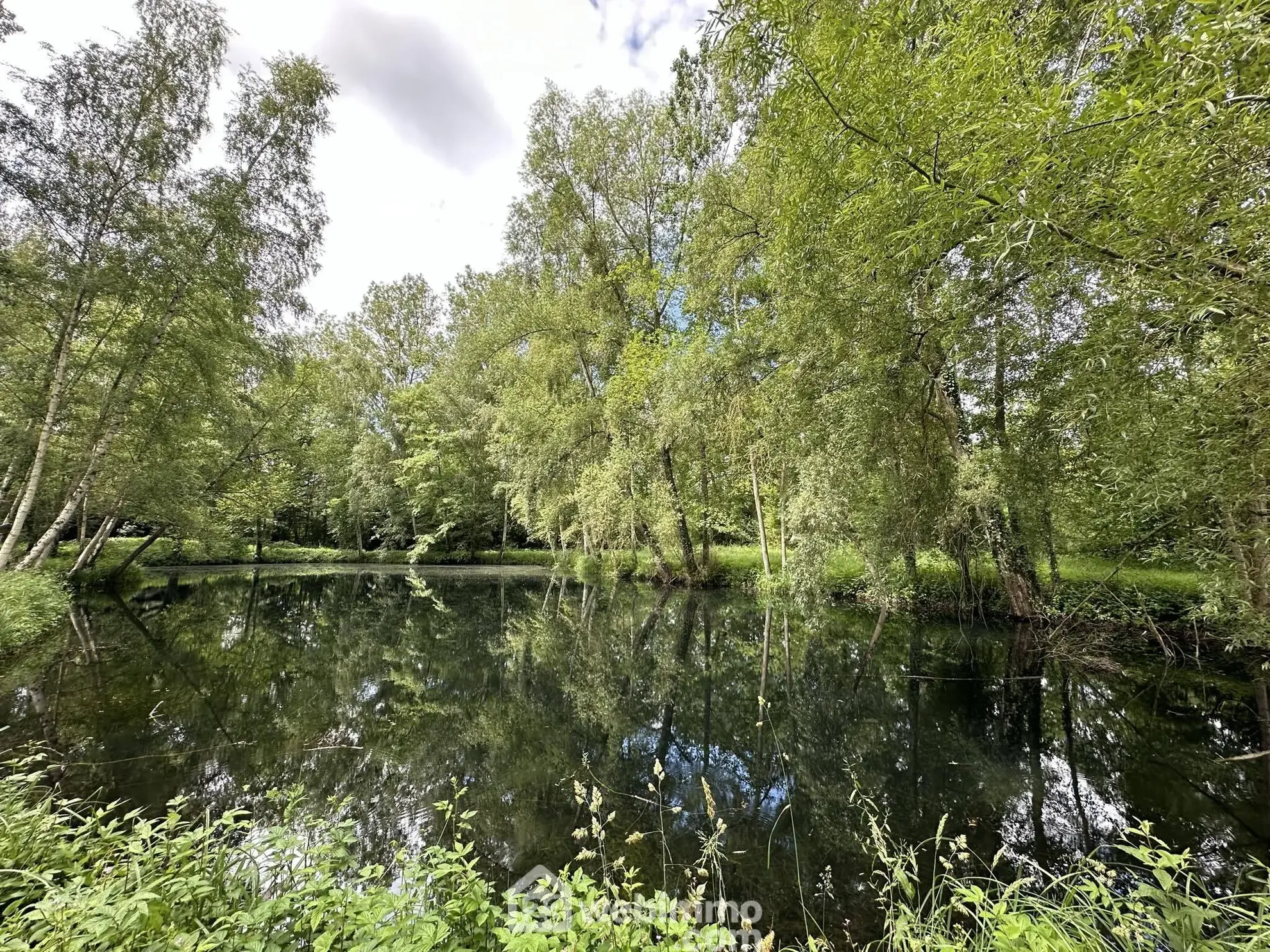 Terrain de loisir de 7000 m² avec étang à Presles-et-Thierny 