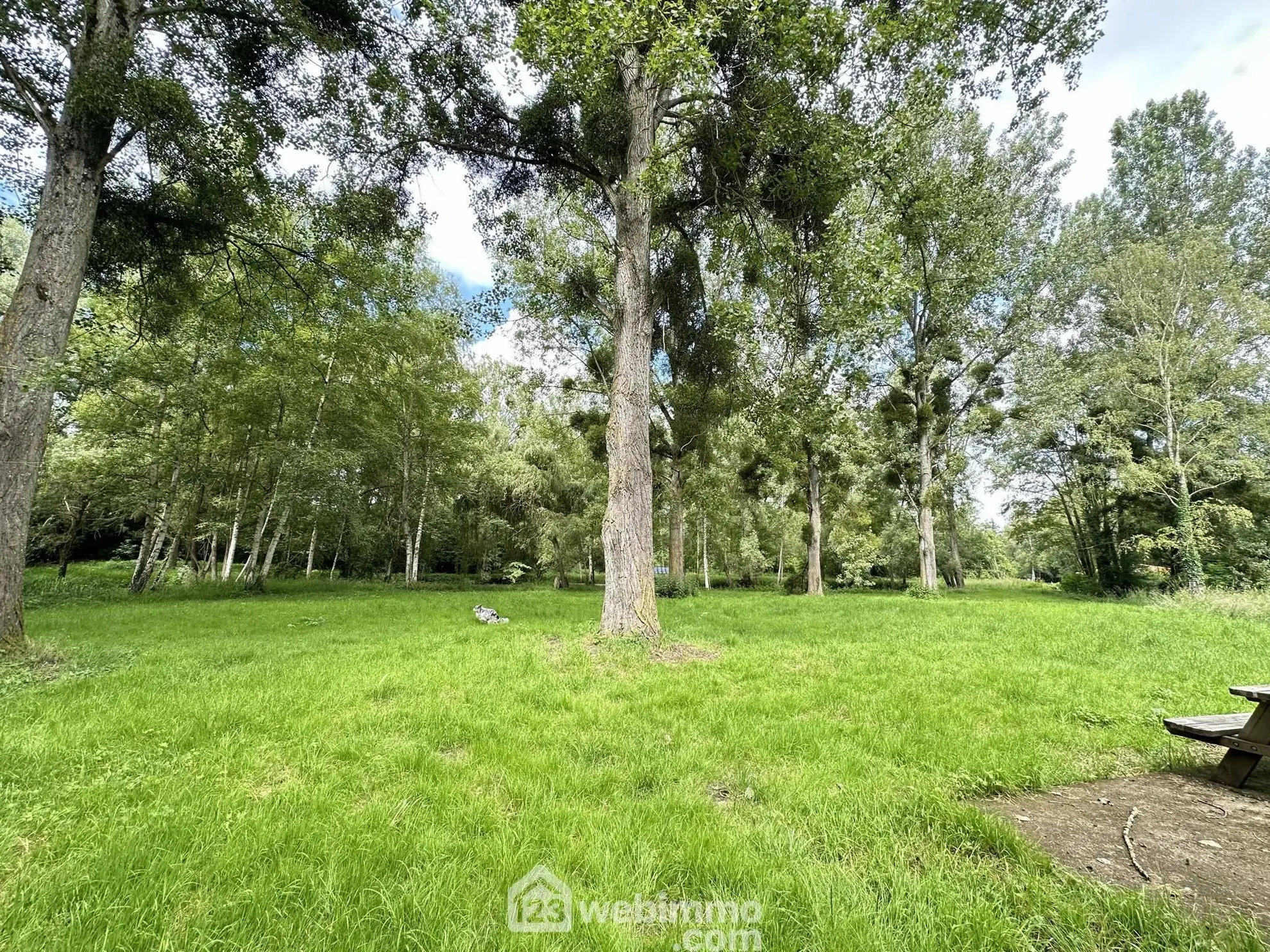 Terrain de loisir de 7000 m² avec étang à Presles-et-Thierny 