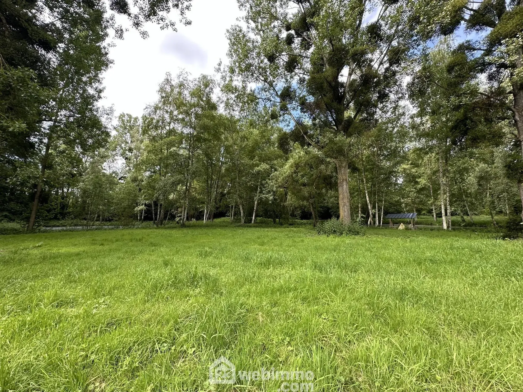 Terrain de loisir de 7000 m² avec étang à Presles-et-Thierny 
