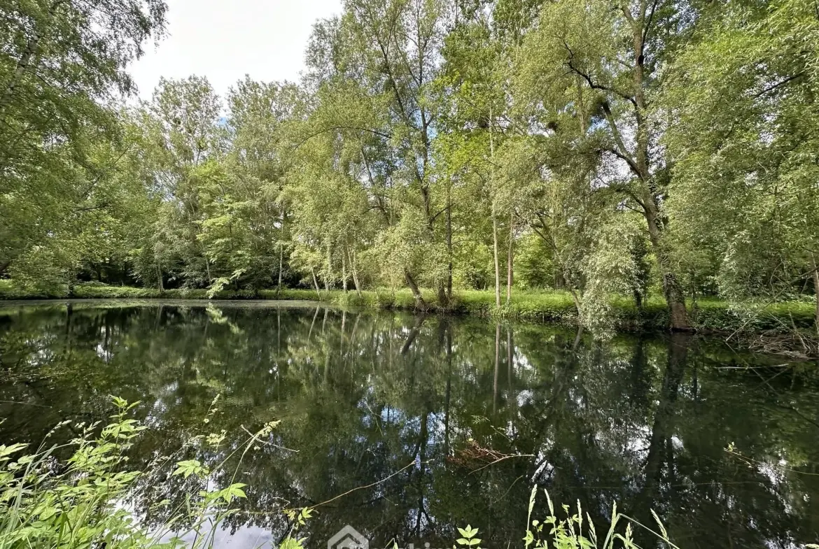 Terrain de loisir de 7000 m² avec étang à Presles-et-Thierny 