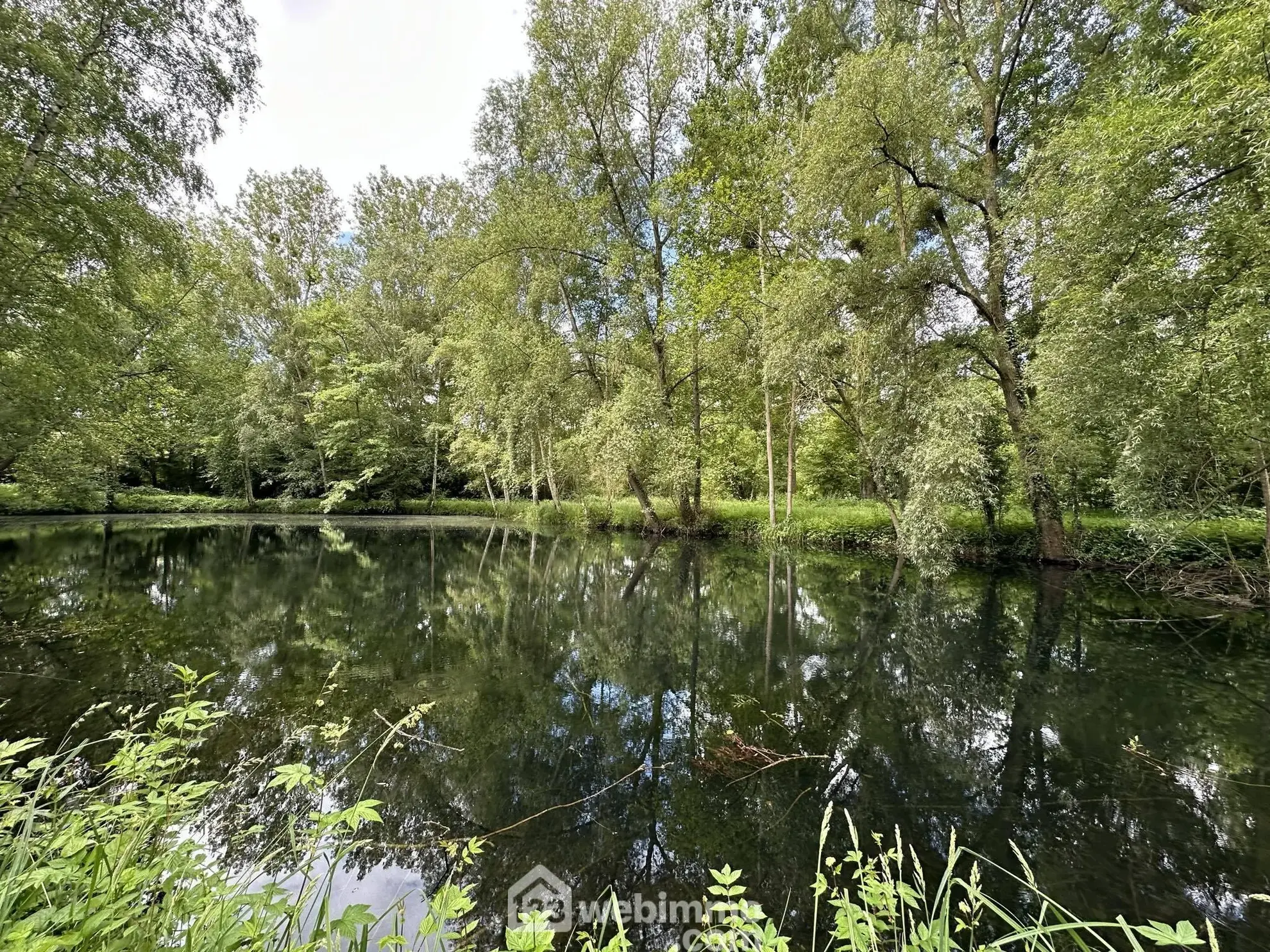Terrain de loisir de 7000 m² avec étang à Presles-et-Thierny 