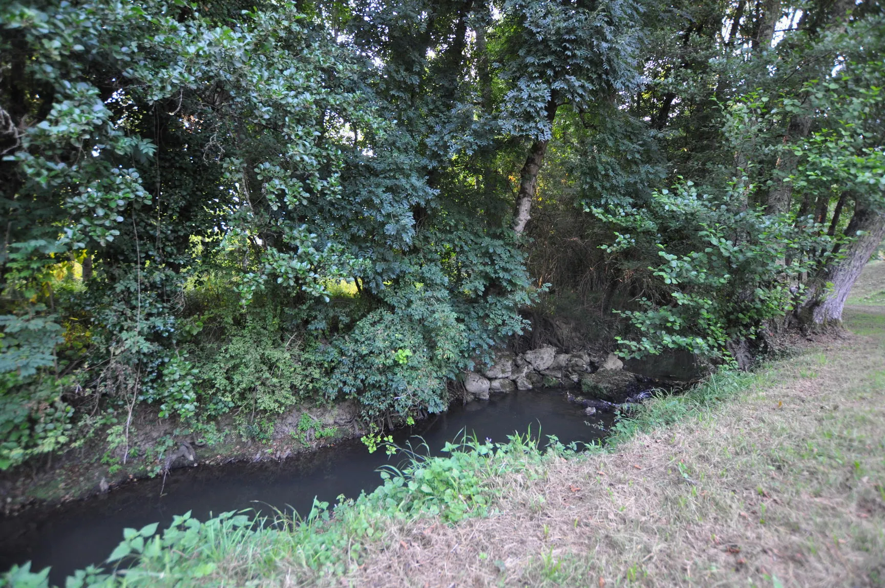 Maison à vendre à Escoussans avec piscine, terrasse et grand terrain en bord de ruisseau 