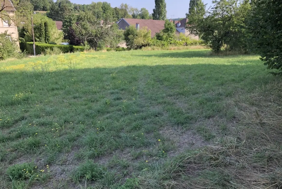 Terrain constructible de 3000 m² à Dommartin-aux-Bois - Prix attractif 