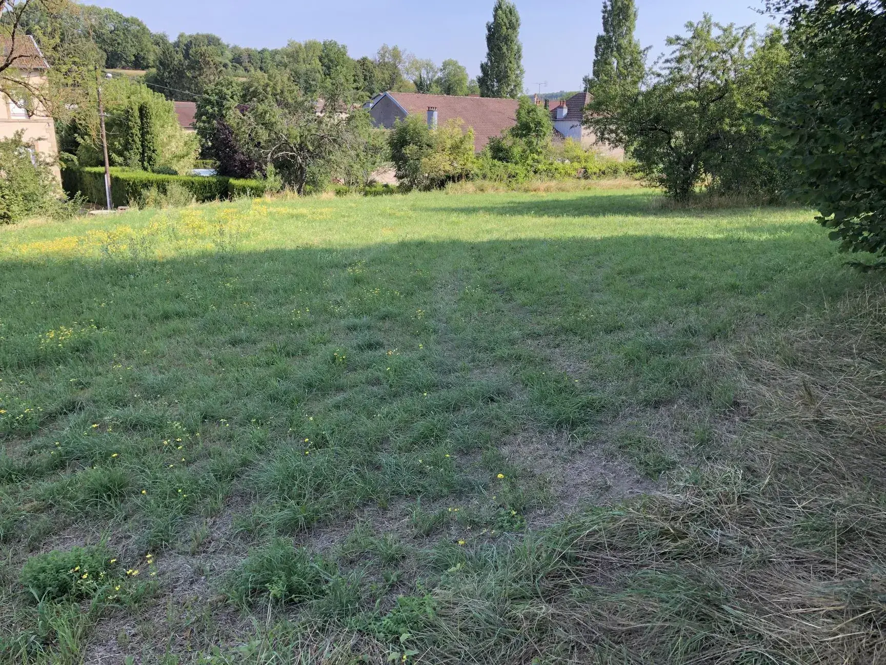 Terrain constructible de 3000 m² à Dommartin-aux-Bois - Prix attractif 