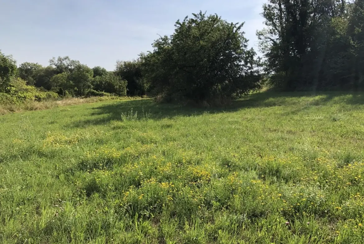 Terrain constructible de 3000 m² à Dommartin-aux-Bois - Prix attractif 