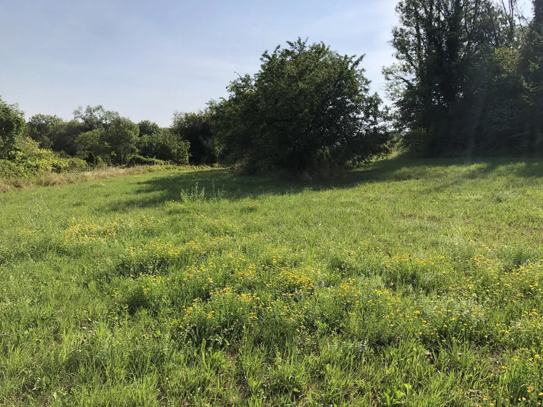Terrain constructible de 3000 m² à Dommartin-aux-Bois - Prix attractif 