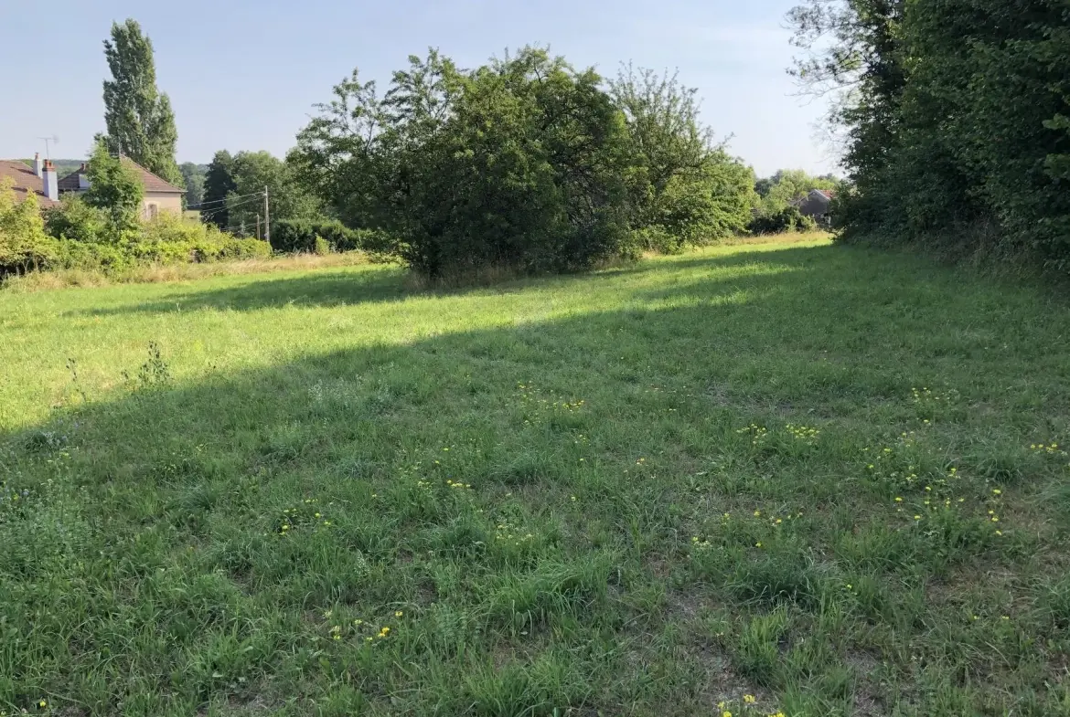 Terrain constructible de 3000 m² à Dommartin-aux-Bois - Prix attractif 