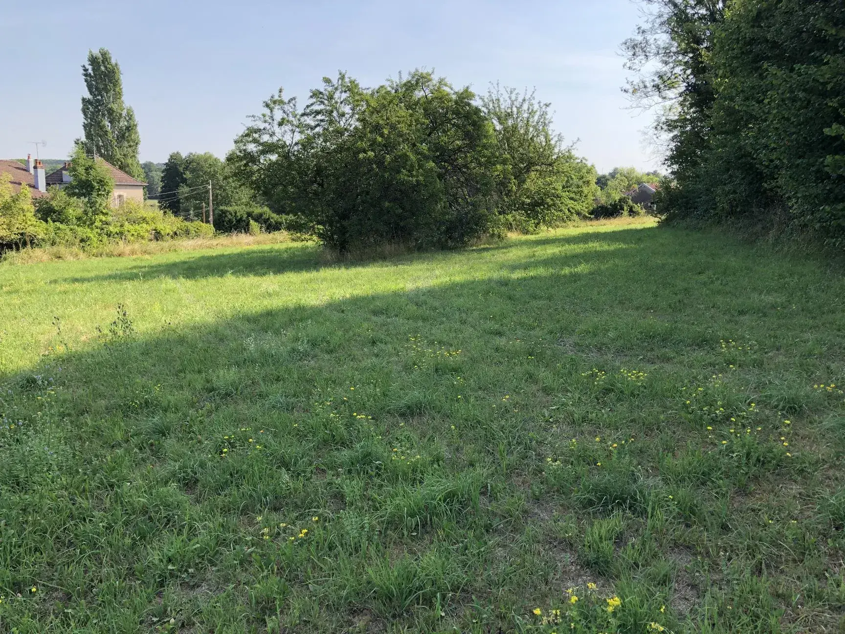 Terrain constructible de 3000 m² à Dommartin-aux-Bois - Prix attractif 