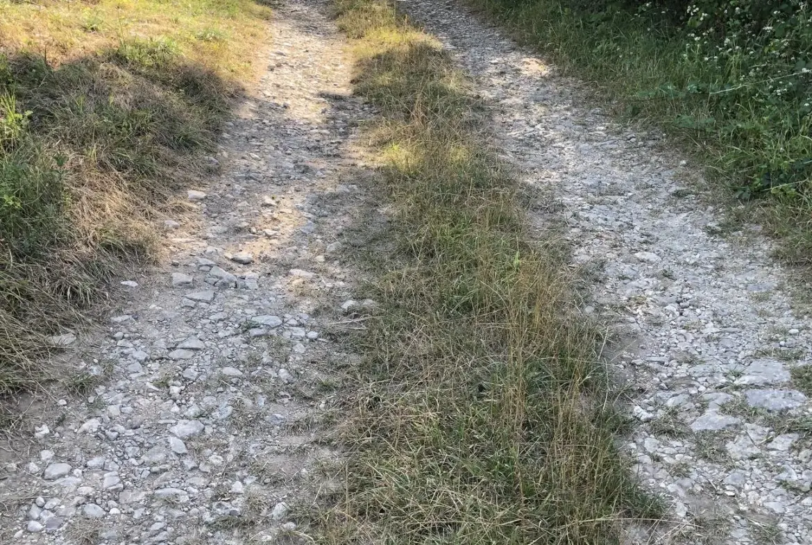 Terrain constructible de 3000 m² à Dommartin-aux-Bois - Prix attractif 