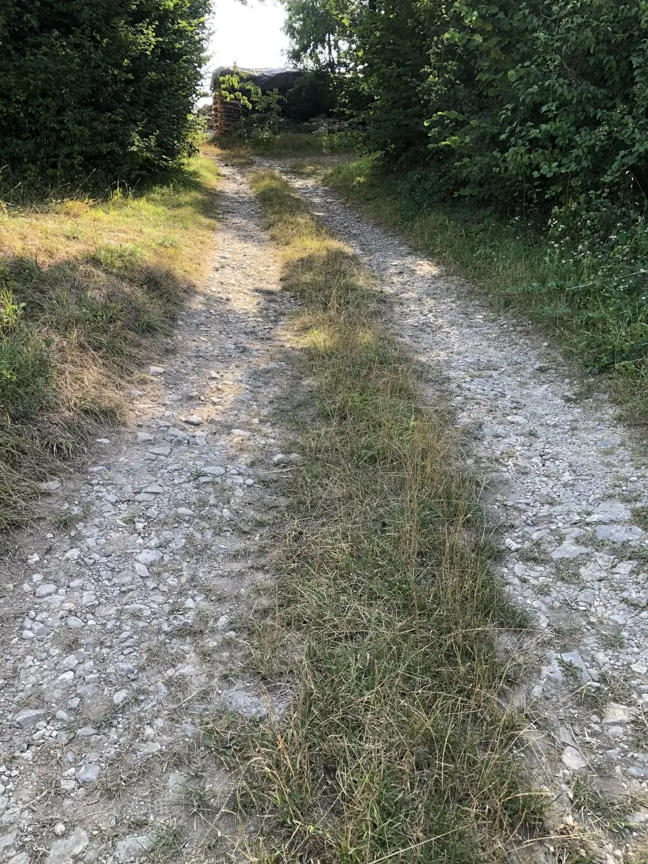 Terrain constructible de 3000 m² à Dommartin-aux-Bois - Prix attractif 