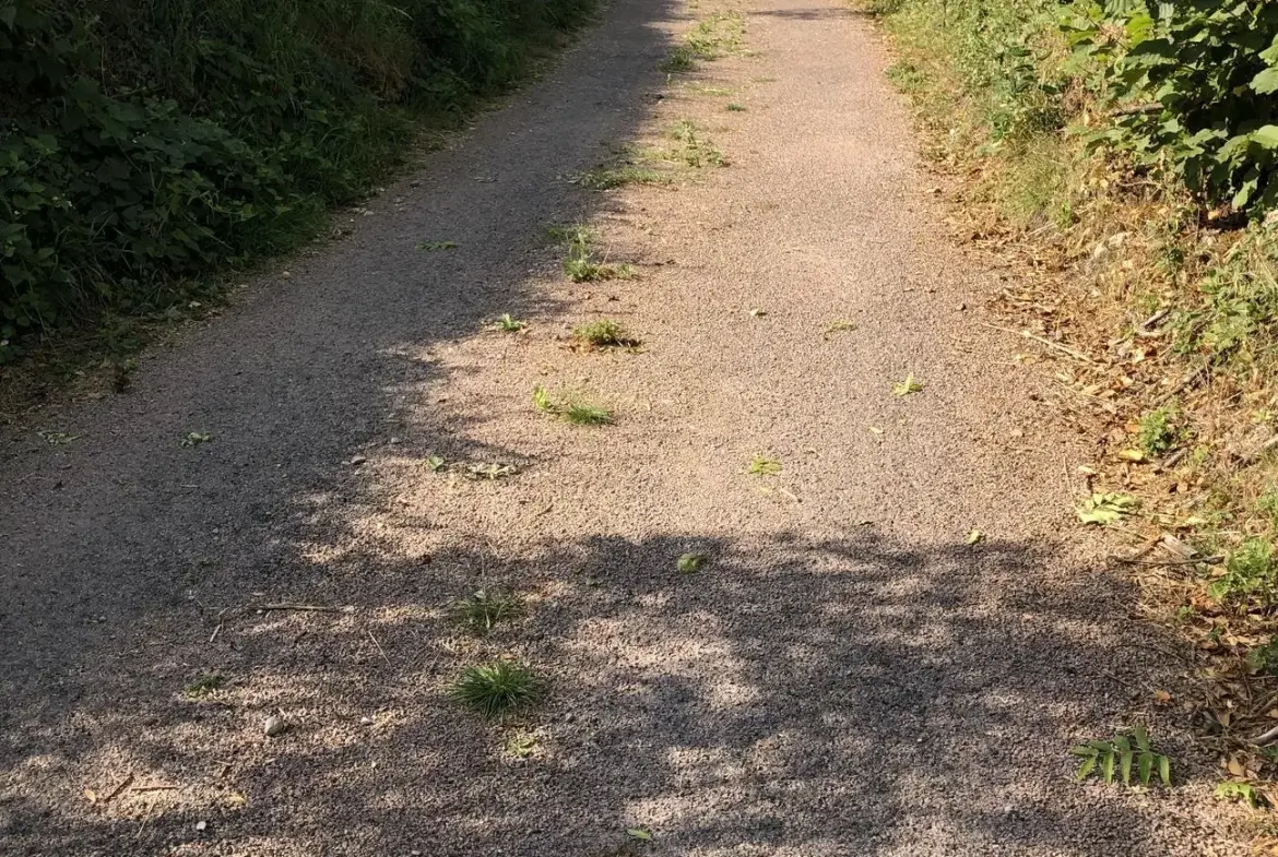 Terrain constructible de 3000 m² à Dommartin-aux-Bois - Prix attractif 