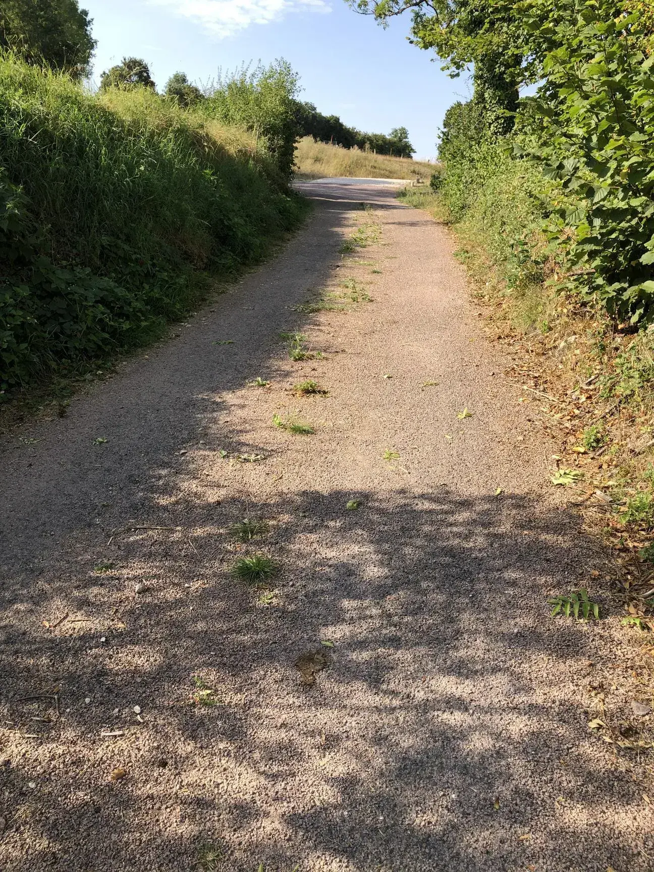 Terrain constructible de 3000 m² à Dommartin-aux-Bois - Prix attractif 