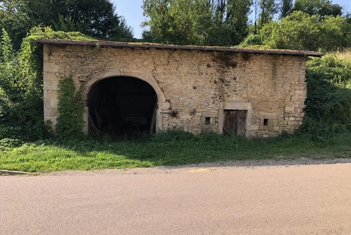 Terrain constructible de 3000 m² à Dommartin-aux-Bois - Prix attractif 