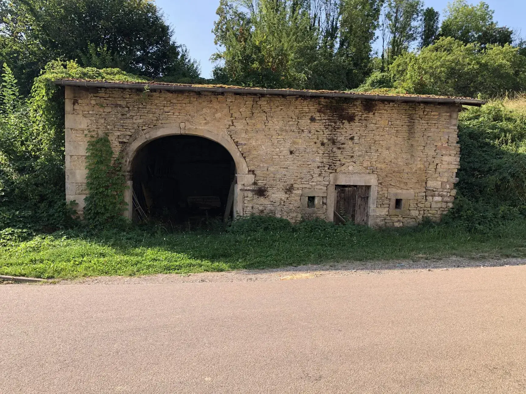 Terrain constructible de 3000 m² à Dommartin-aux-Bois - Prix attractif 