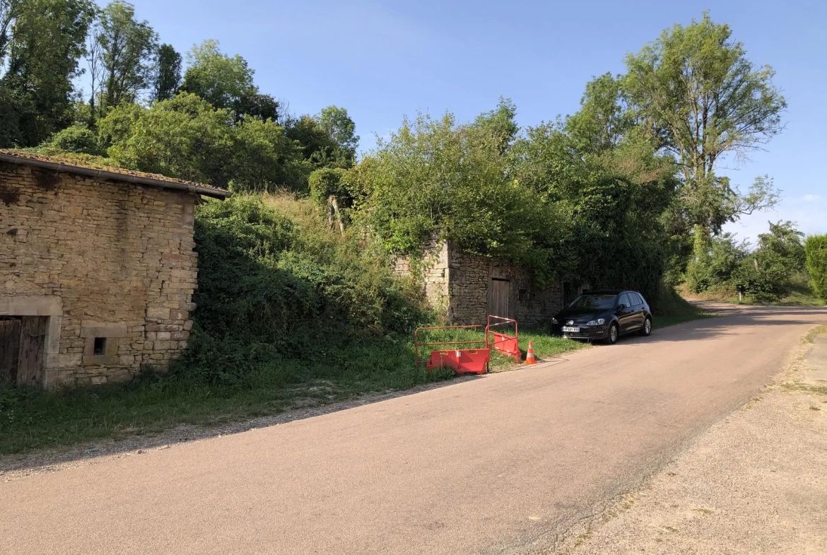 Terrain constructible de 3000 m² à Dommartin-aux-Bois - Prix attractif 