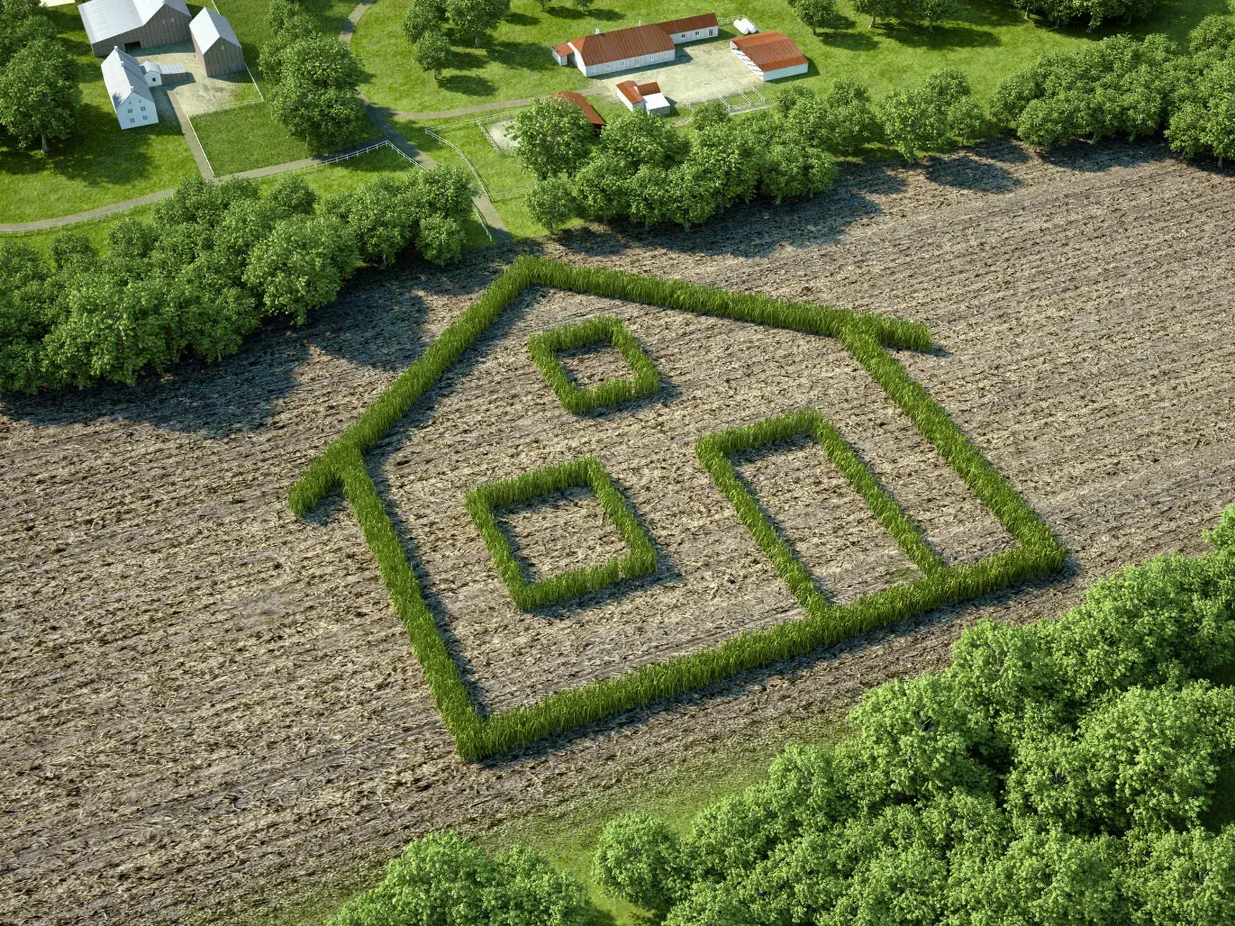 Terrain constructible de 3000 m² à Dommartin-aux-Bois - Prix attractif 