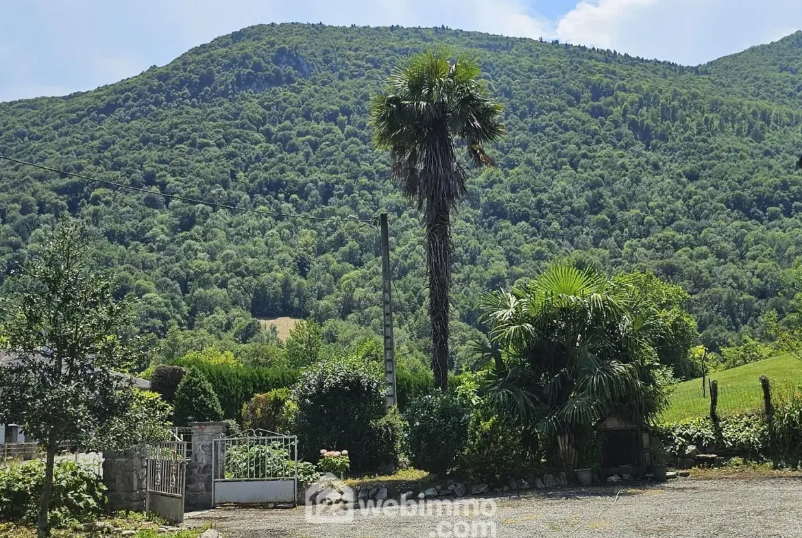 Maison à rénover avec grand terrain à Louvie-Juzon, proche des montagnes 