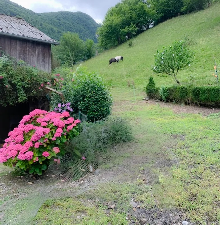 Maison à rénover avec grand terrain à Louvie-Juzon, proche des montagnes 