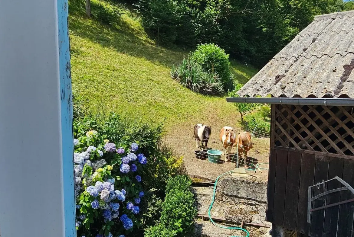 Maison à rénover avec grand terrain à Louvie-Juzon, proche des montagnes 