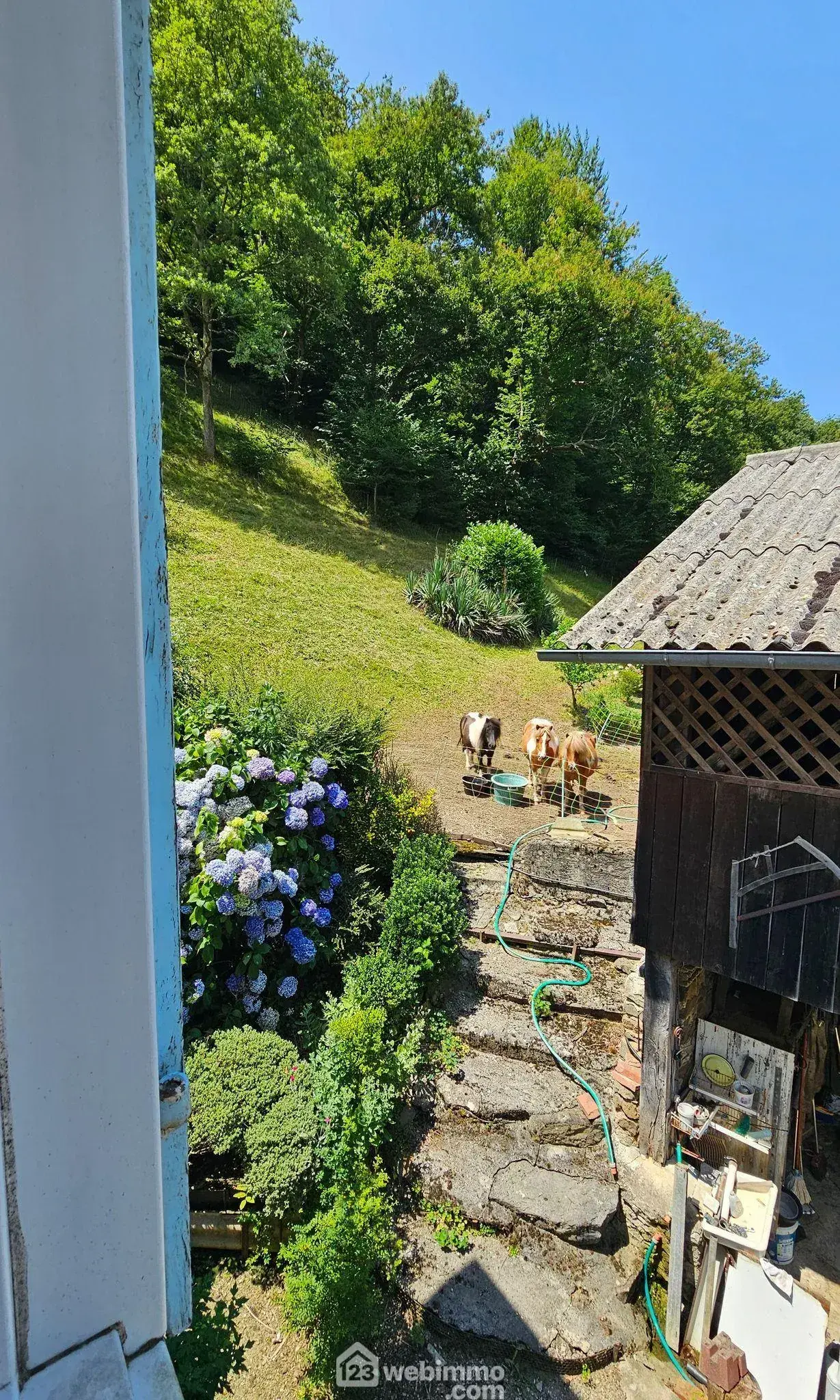 Maison à rénover avec grand terrain à Louvie-Juzon, proche des montagnes 