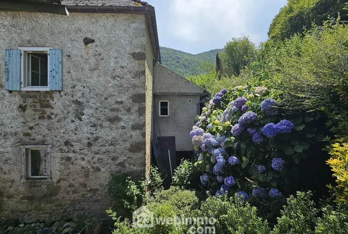 Maison à rénover avec grand terrain à Louvie-Juzon, proche des montagnes 
