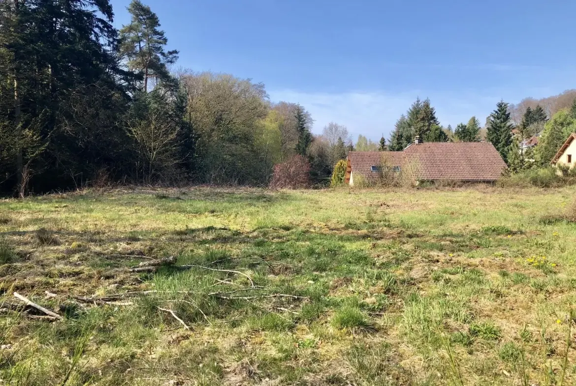 Terrain constructible viabilisé de 1466 m² à Chantraine, calme et en bordure de forêt 