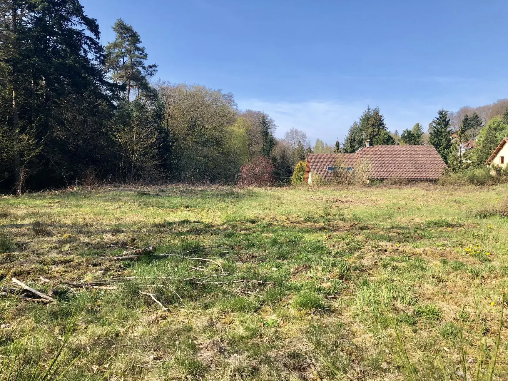Terrain constructible viabilisé de 1466 m² à Chantraine, calme et en bordure de forêt 