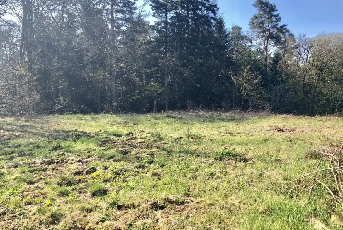 Terrain constructible viabilisé de 1466 m² à Chantraine, calme et en bordure de forêt 