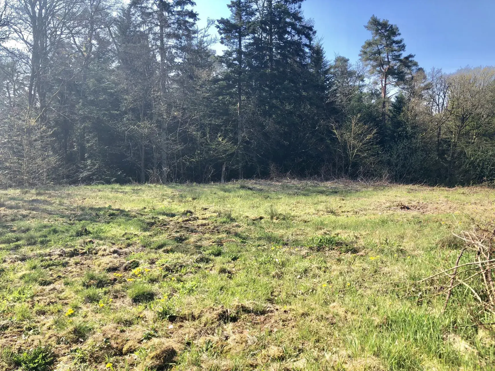 Terrain constructible viabilisé de 1466 m² à Chantraine, calme et en bordure de forêt 