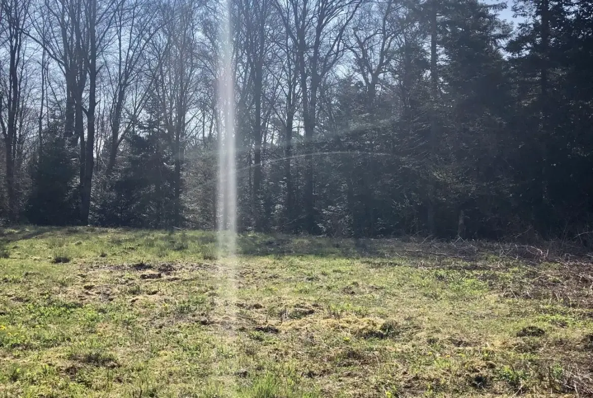 Terrain constructible viabilisé de 1466 m² à Chantraine, calme et en bordure de forêt 