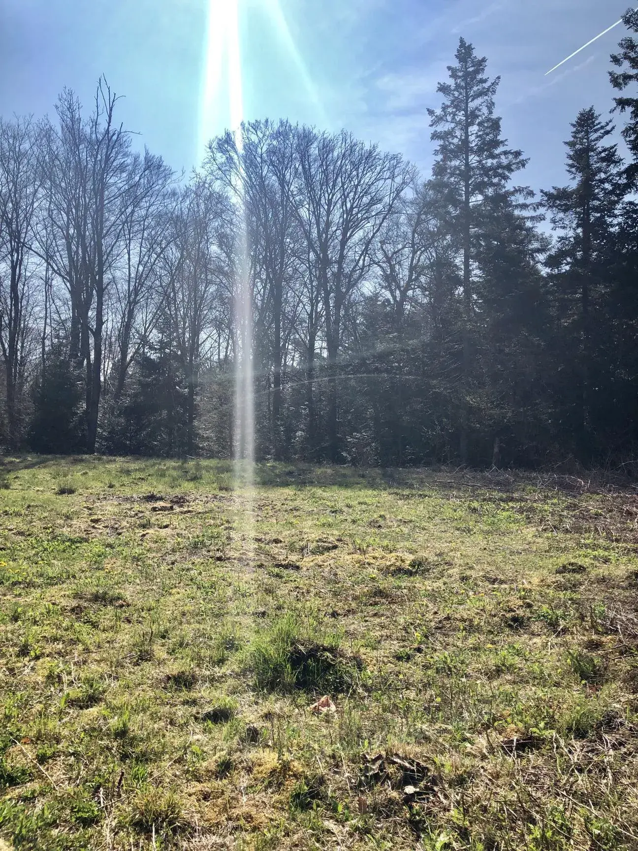 Terrain constructible viabilisé de 1466 m² à Chantraine, calme et en bordure de forêt 