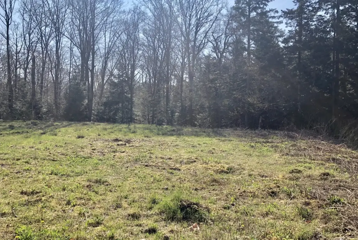 Terrain constructible viabilisé de 1466 m² à Chantraine, calme et en bordure de forêt 