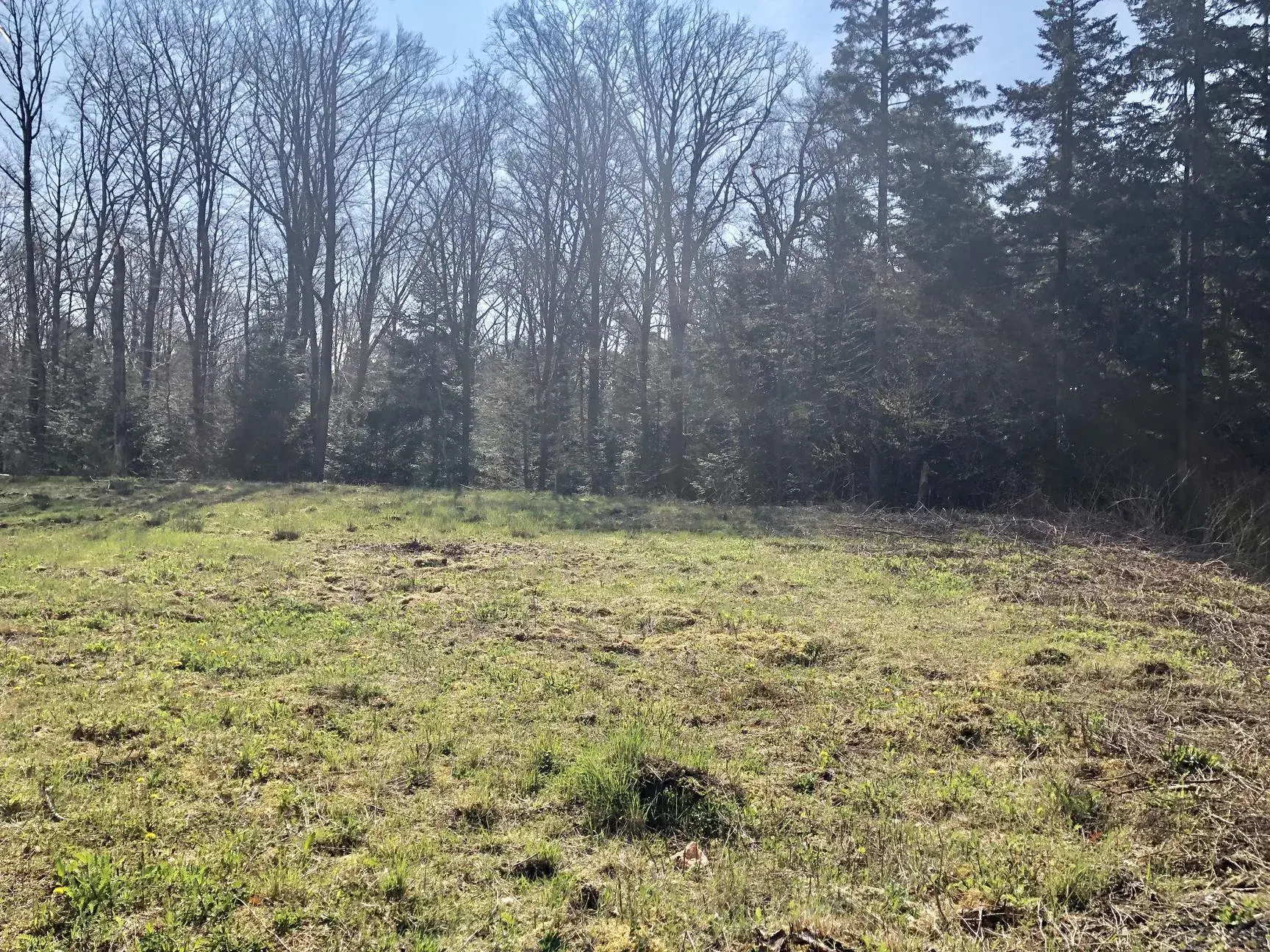 Terrain constructible viabilisé de 1466 m² à Chantraine, calme et en bordure de forêt 