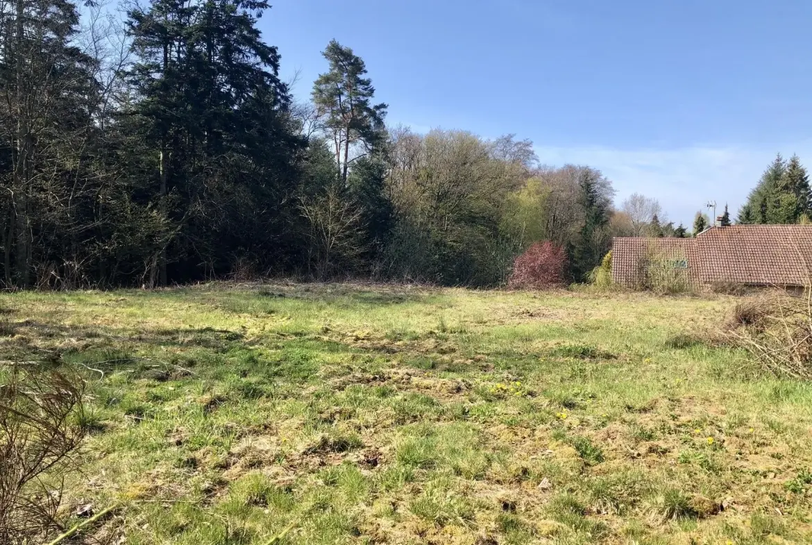 Terrain constructible viabilisé de 1466 m² à Chantraine, calme et en bordure de forêt 