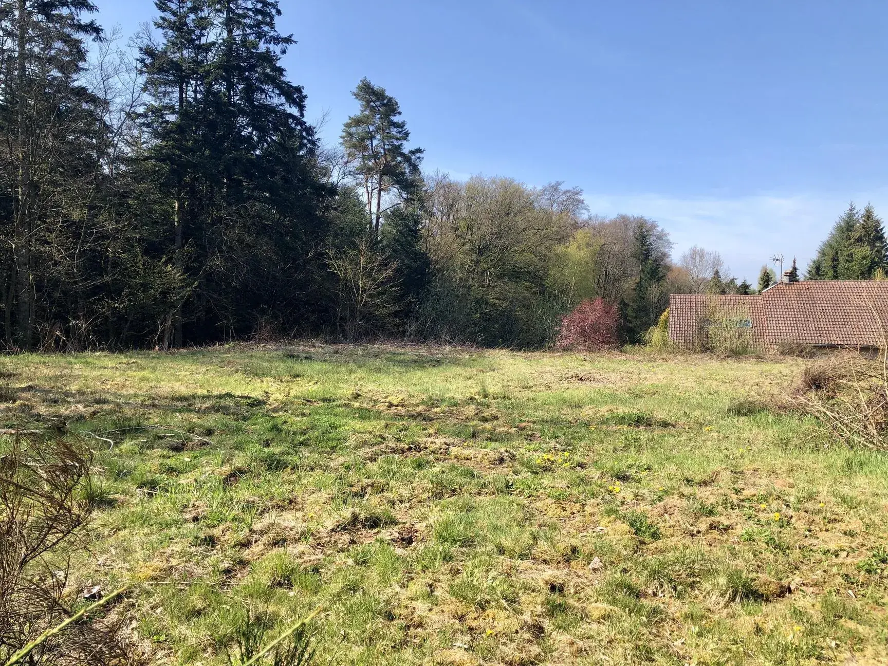 Terrain constructible viabilisé de 1466 m² à Chantraine, calme et en bordure de forêt 