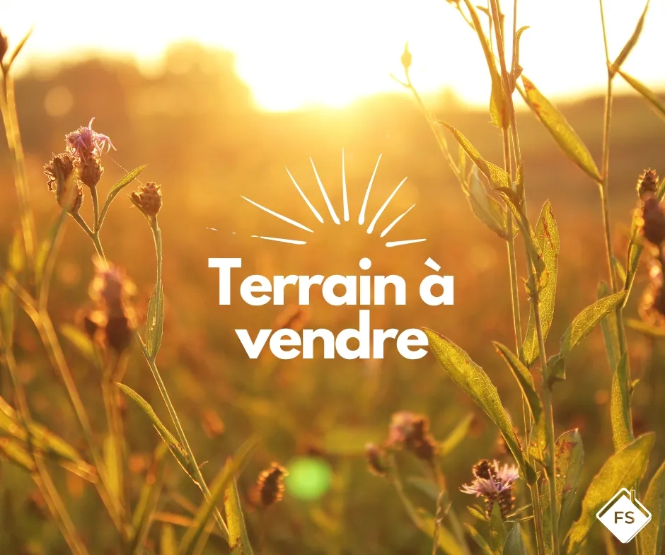 Terrains à vendre à Orléans – Grand espace constructible proche du centre-ville 