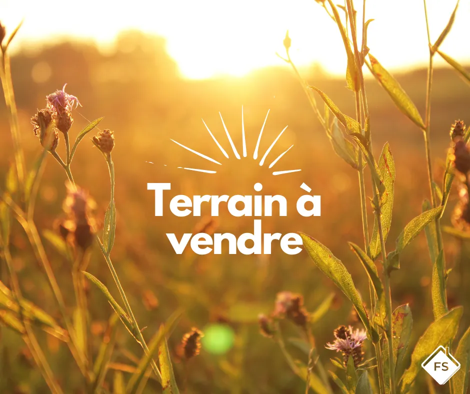 Terrains à vendre à Orléans – Grand espace constructible proche du centre-ville 